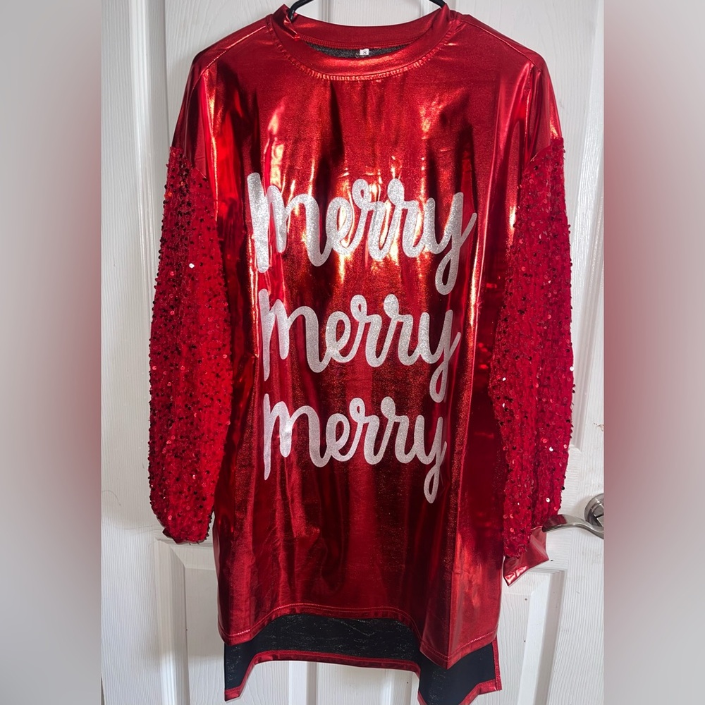 Women’s Christmas Dress NWOT